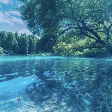 Profile image of 桐生戦兎