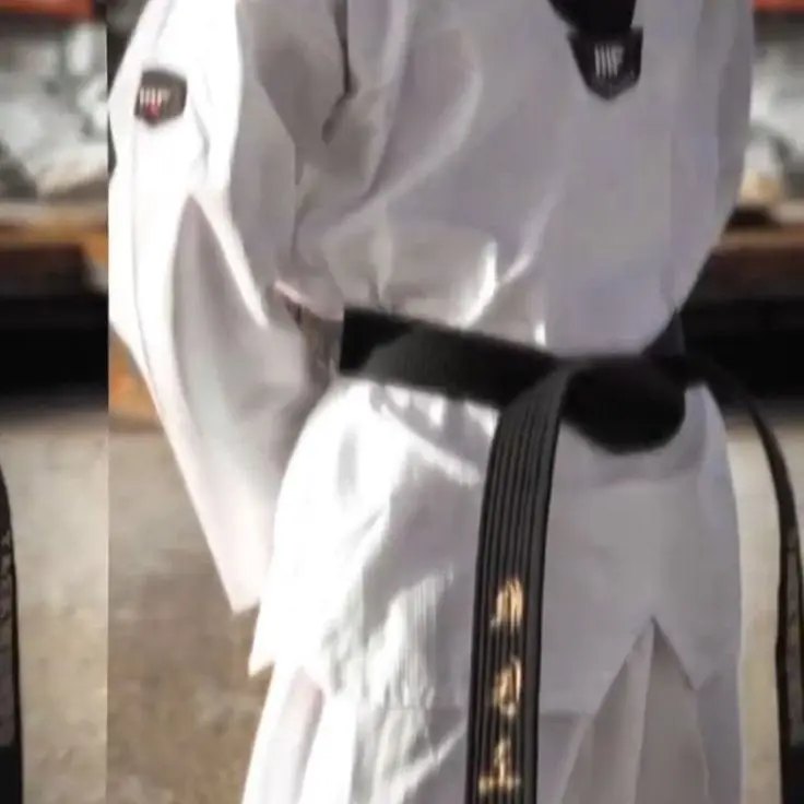 WellSheaf6741의 Karate