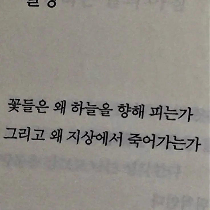 NearSong7198의 연애 프로그램. { 뜰팁 }
