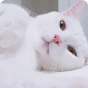 터시
