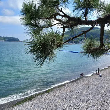 Profile image of 림무무