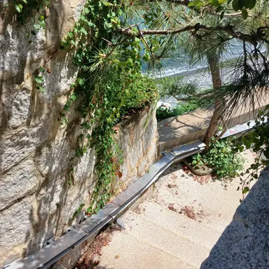 Profile image of 우웡