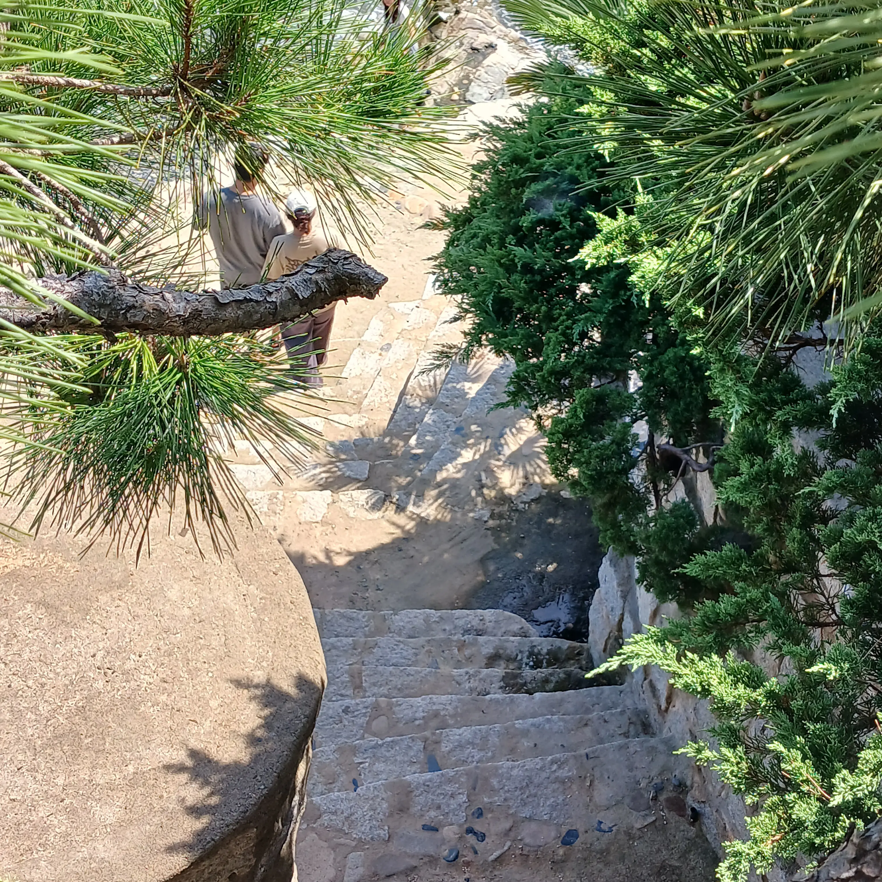 SleazyFlute2772의 라이벌고등학교