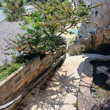 Profile image of 이핑구