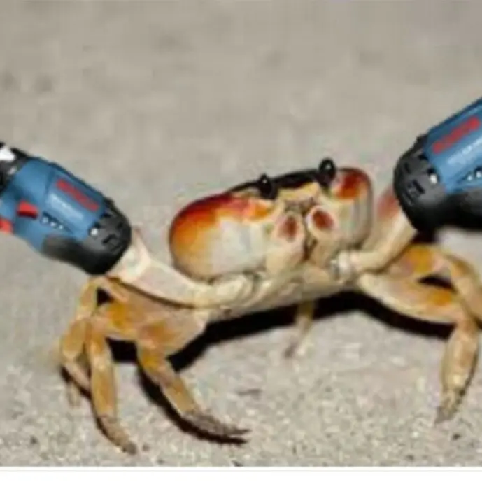 QuickHoop9760의 양귀비놀이시간