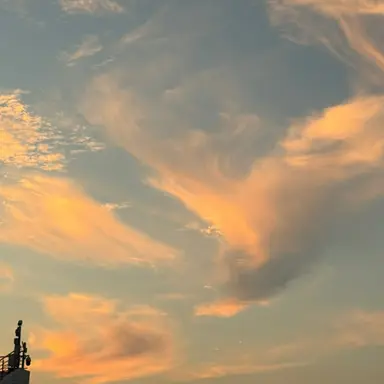 Profile image of 공룡 각별