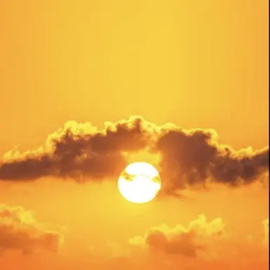 Profile image of 코마