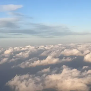 Profile image of 파이브