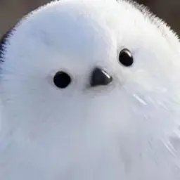 Profile image of 참새