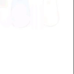 스프런키 조직