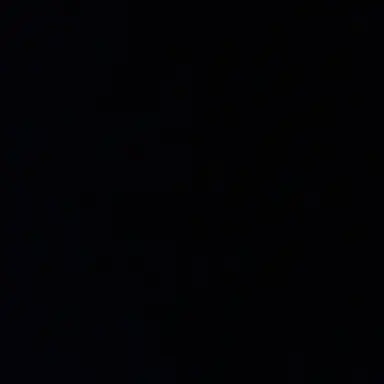 Profile image of 놀리