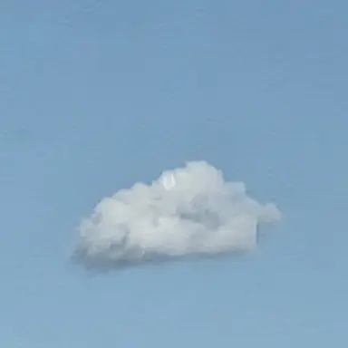 Profile image of 선생님