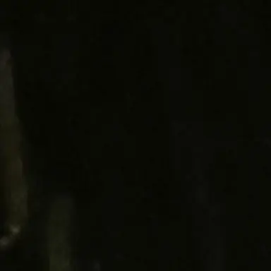 Profile image of 알렉스