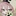 ゾムニキ