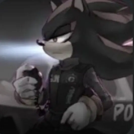 FlimsyMouse5860의 Police shadow the hedgehog