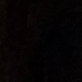 윤정핝