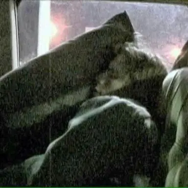 Profile image of Patrick Stump