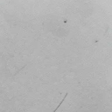 Profile image of 강영현