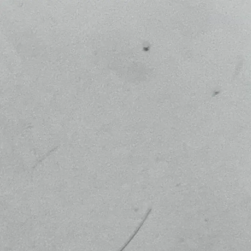 Bluejeans3의 개인용