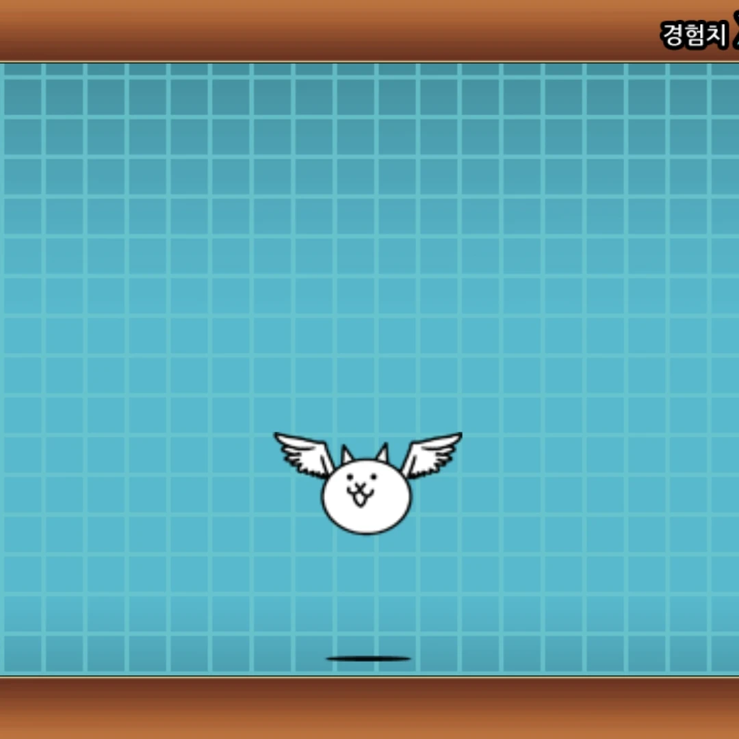 고양이 새