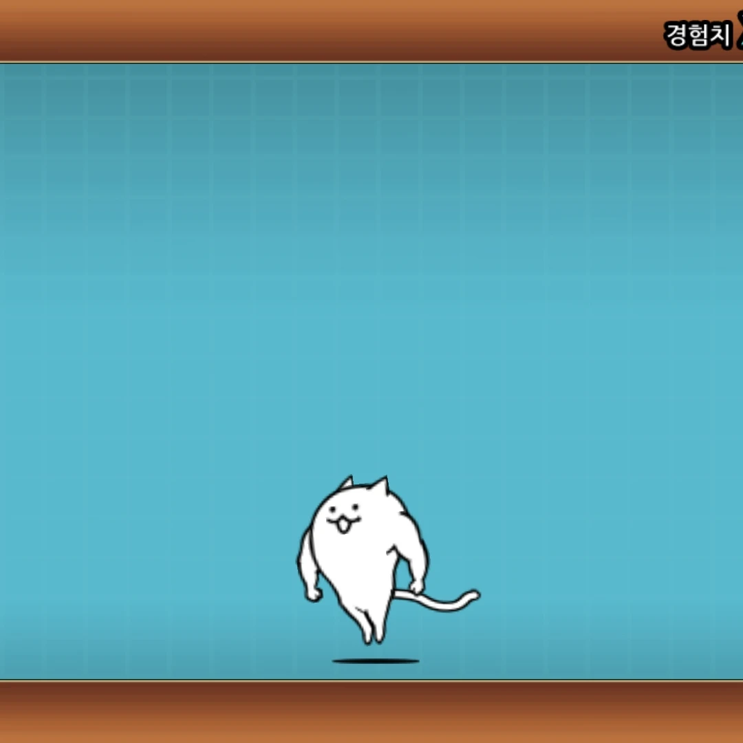 고양이 초인