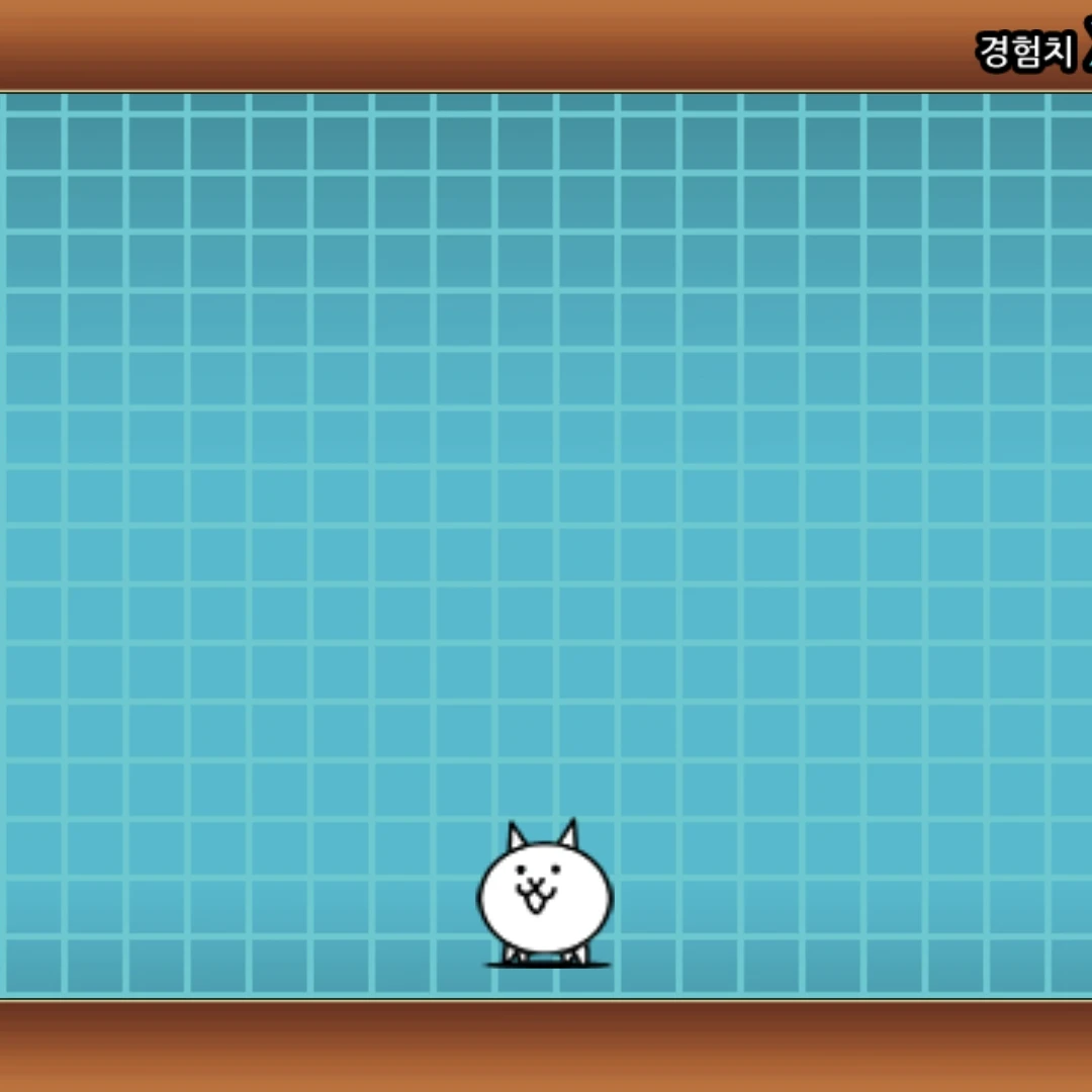 고양이