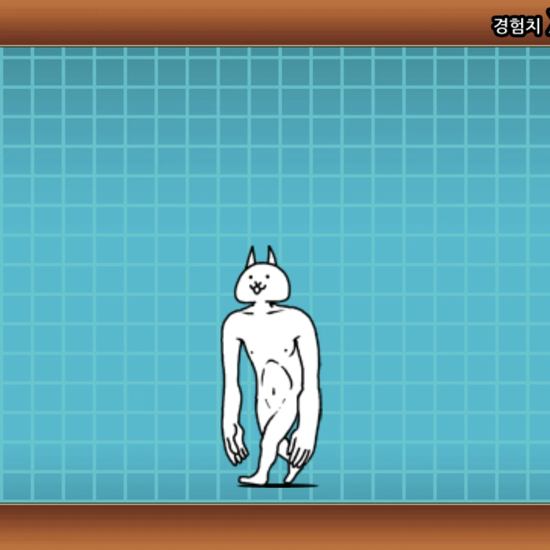 거신 고양이