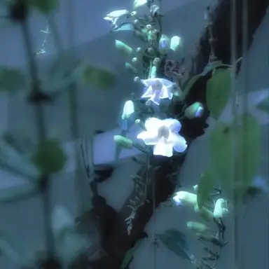 Profile image of 유지민