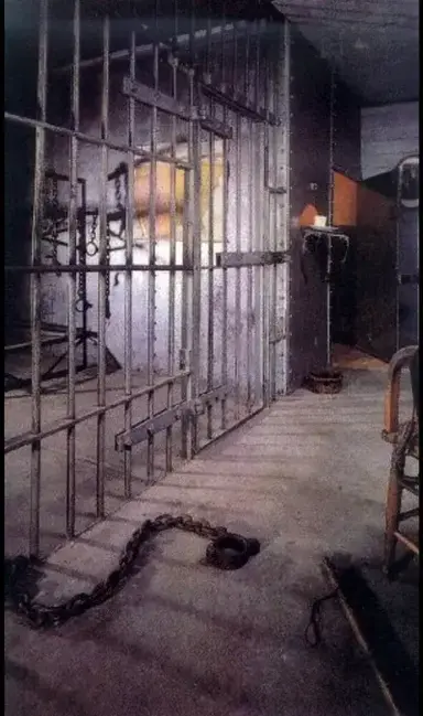 Profile image of Human zoo