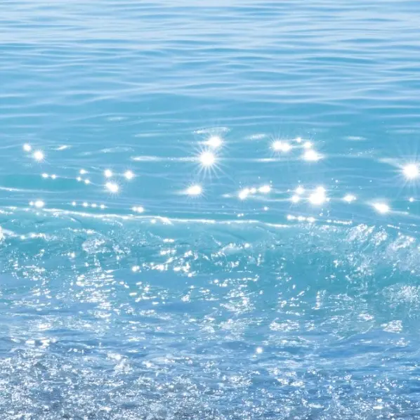 likeoceanfish의 짐승 같은 그녀