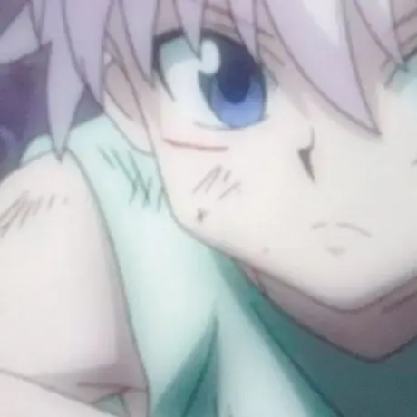 WearyFilm3156의 ゾルディック家のおきにいり