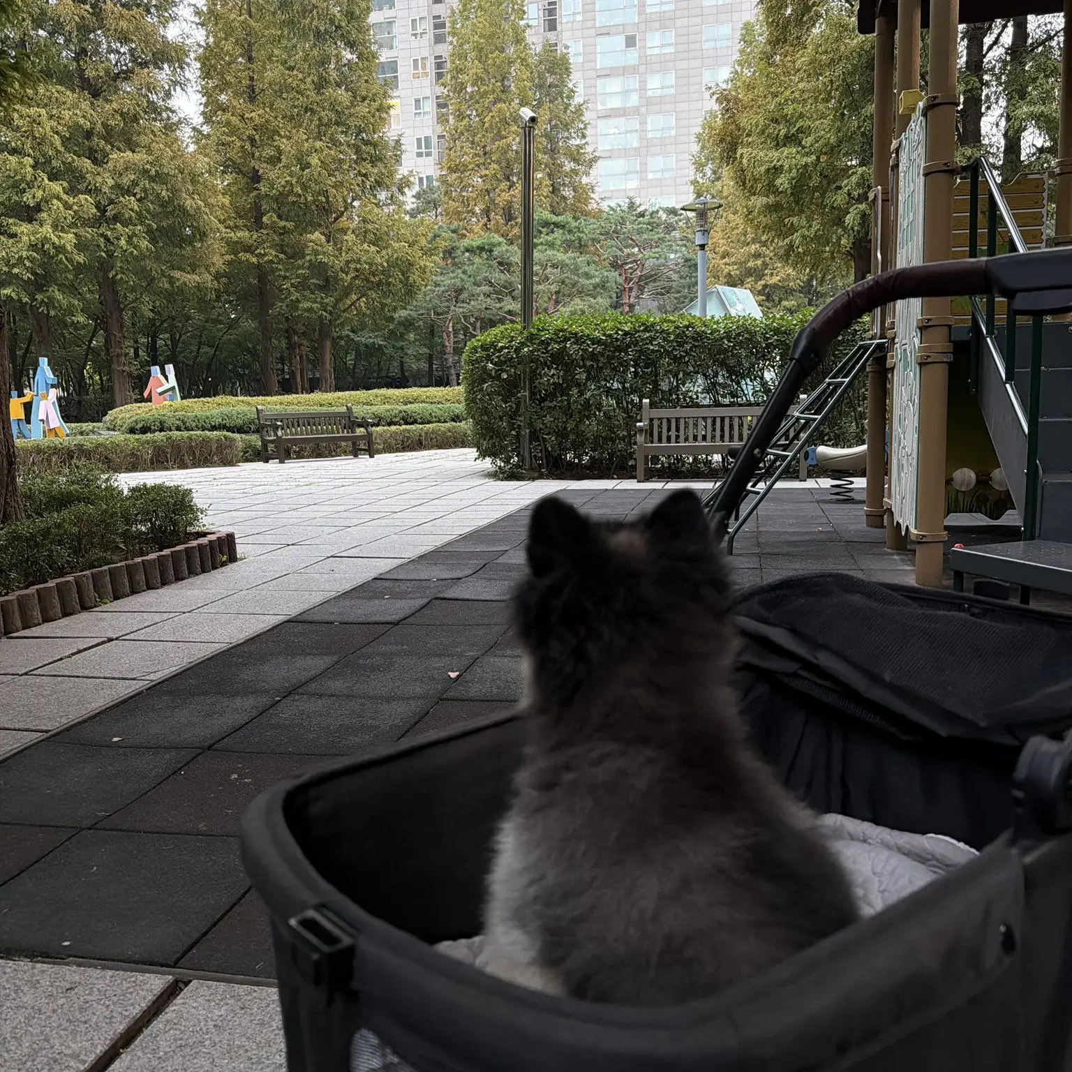 Dh2_won.의 김강훈