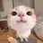올망이