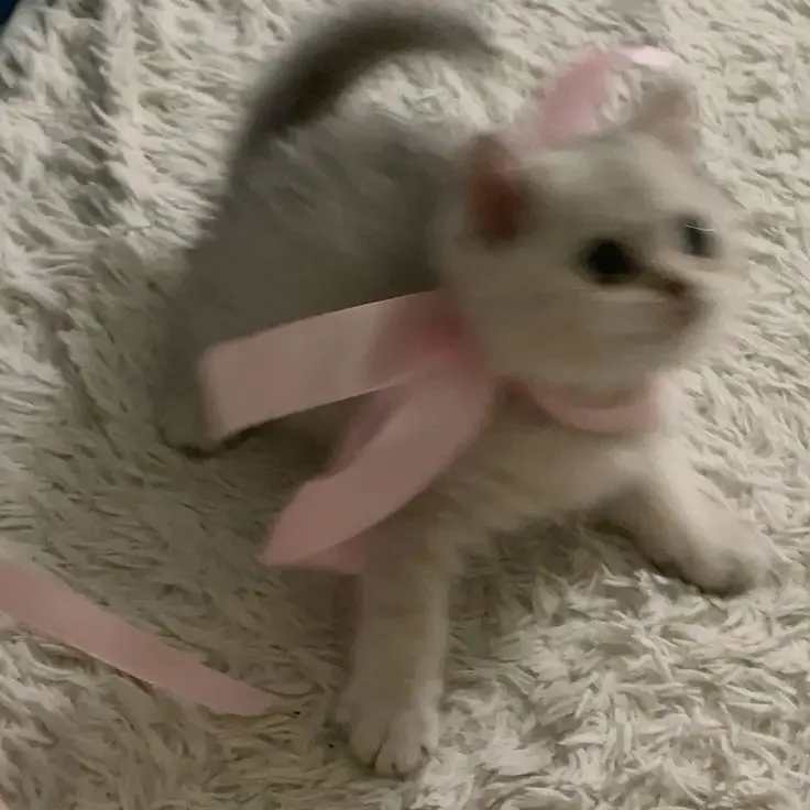 PinkYoga4378의 한동민