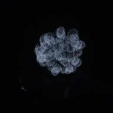 Profile image of 다카스기 신스케