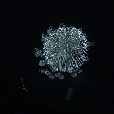 Profile image of 카츠라 코타로