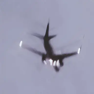 Profile image of よん