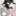 白と黒