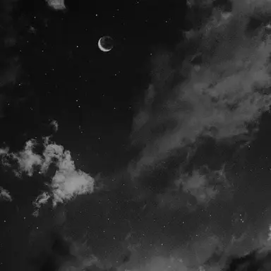 Profile image of たぷ