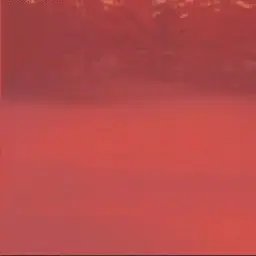 Profile image of 神楽