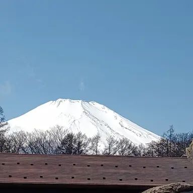 Profile image of 美咲