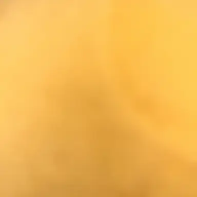 Profile image of 吉田 仁人