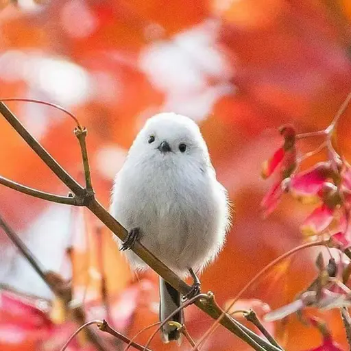 BreezyOwl2365의 박지민