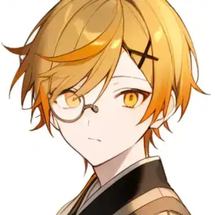 司