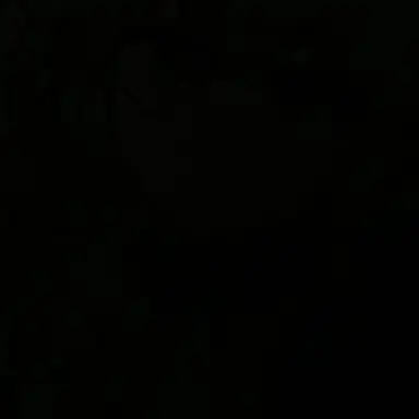 Profile image of DK
