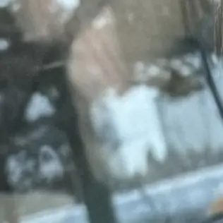 ShrillSpool4164의 남녀무리