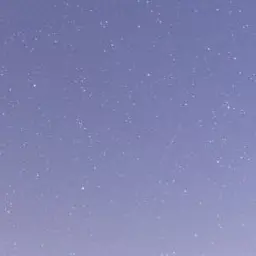 BrownPuma3809의 미스터리 수사반2 학대