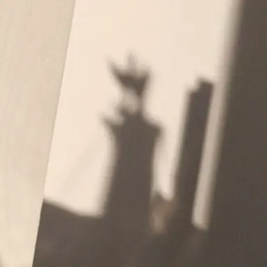 Profile image of 김유한