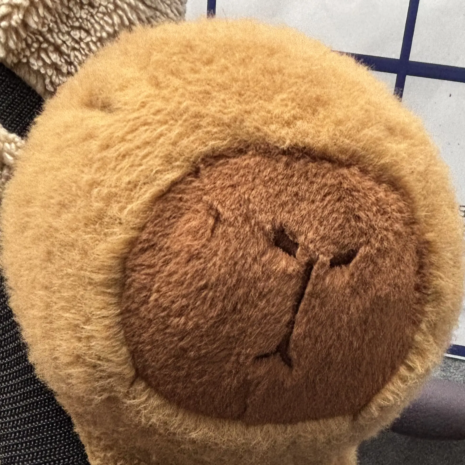 ChunkyPest6615의 카피바라