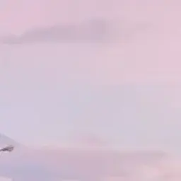 Profile image of あなたのお母さん